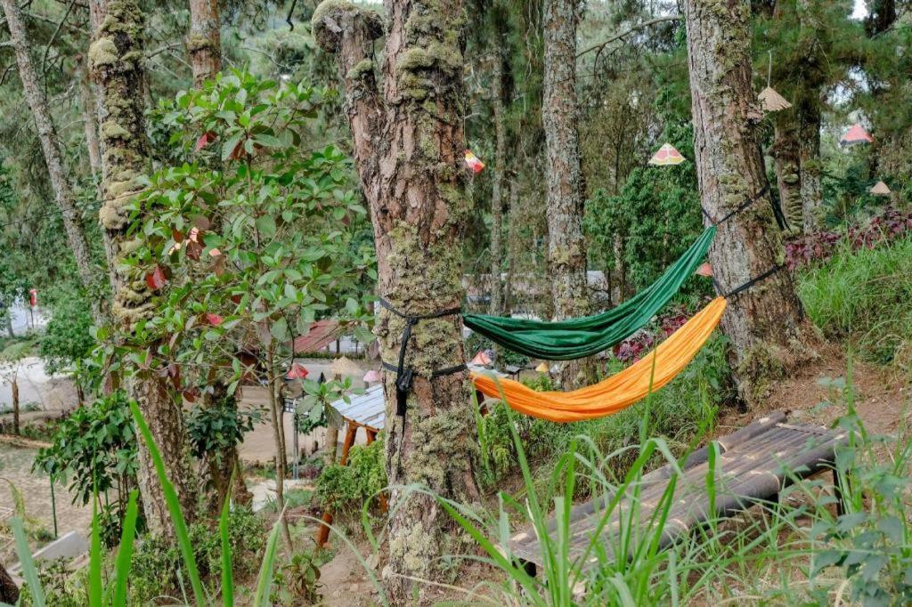 Oyo 1175 オエマ ジョウォ リゾート Magetan エクステリア 写真